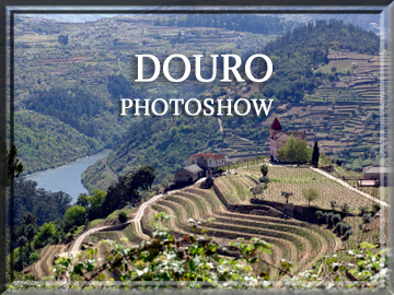 Excursion-along-the-Rio-Douro